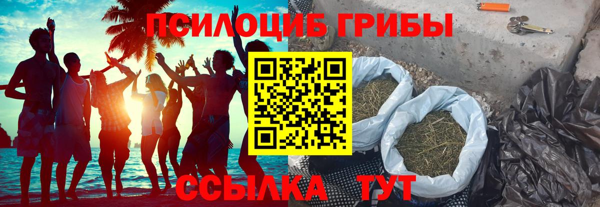 Кирово-Чепецк  Галлюциногенные грибы Psilocybe  Вход с VPN 